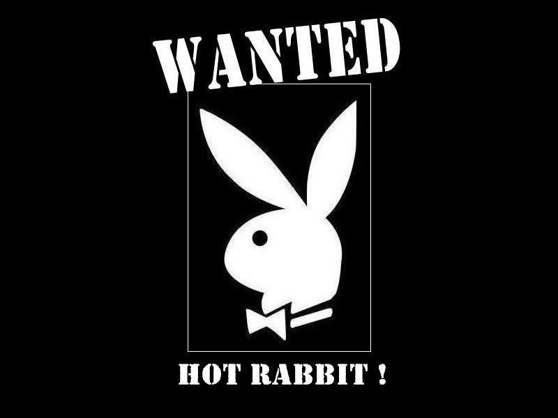 hot_rabbit.JPG