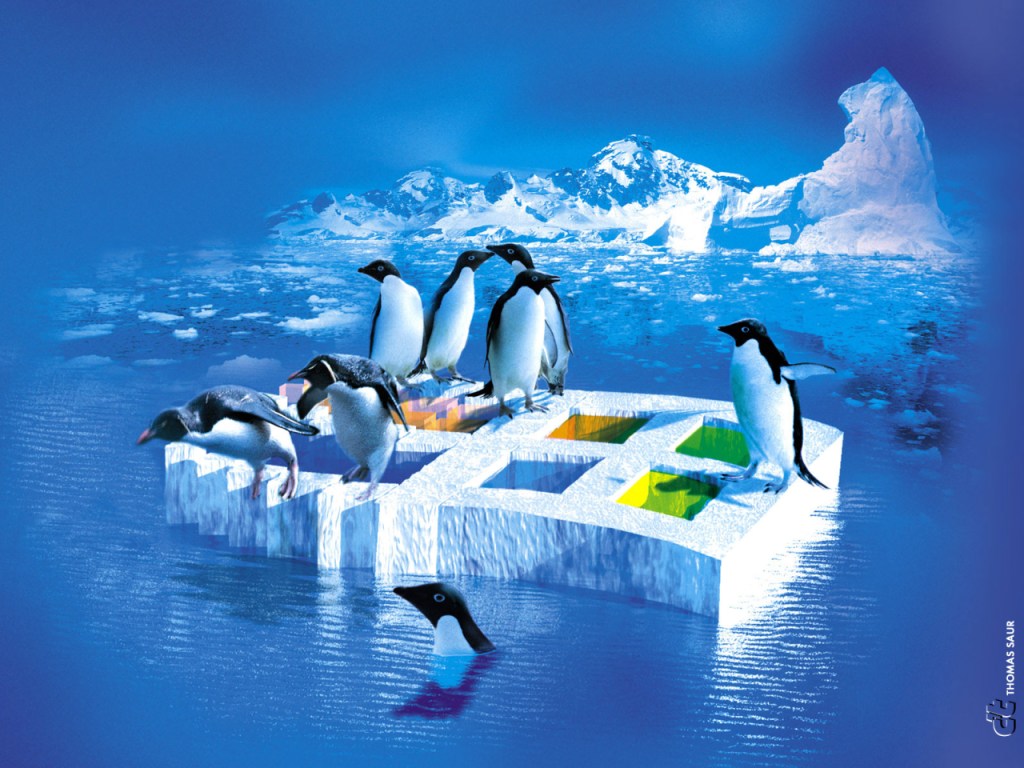 linux-tux-penguins-ice.jpg